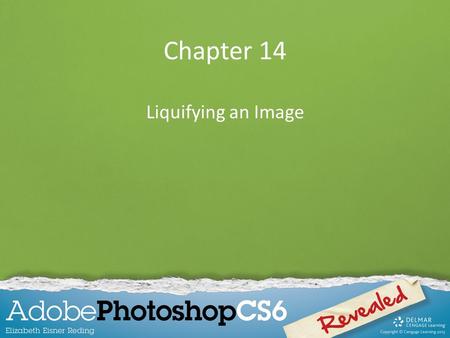 Chapter 14 Liquifying an Image. Chapter Lessons Use the Liquify tools to distort an image Learn how to freeze and thaw areas Use the mesh feature as you.