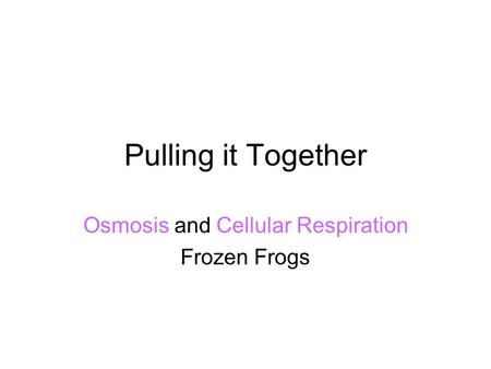 Pulling it Together Osmosis and Cellular Respiration Frozen Frogs.