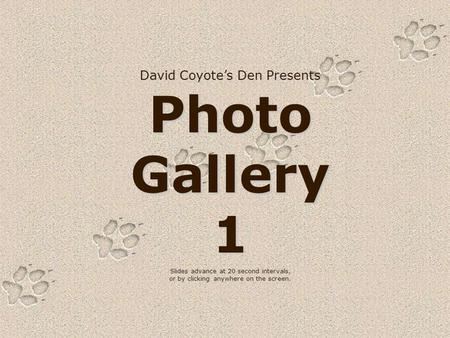 David Coyote’s Den Presents Photo Gallery 1 Slides advance at 20 second intervals, or by clicking anywhere on the screen.