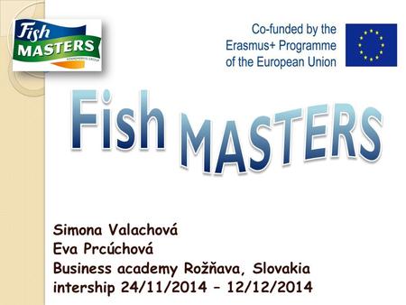 Simona Valachová Eva Prcúchová Business academy Rožňava, Slovakia intership 24/11/2014 – 12/12/2014.