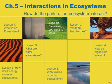 Ch.5 – Interactions in Ecosystems