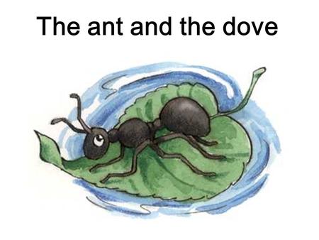     The ant and the dove.
