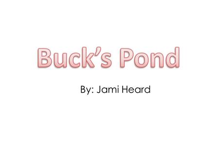 By: Jami Heard. Buck has a big fish pond in the back lot.
