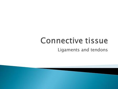 Ligaments and tendons.  tough fibrous band of connective tissue that serves to support the internal organs and hold bones together in proper articulation.