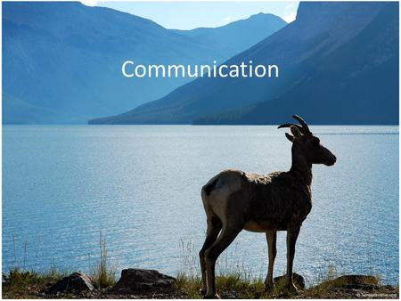 Communication What is Communication? – An action on the part of one organism that alters the probability pattern of behavior in another organism in a.