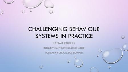 Challenging behaviour systems in practice