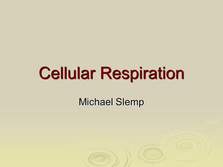 Cellular Respiration Michael Slemp.