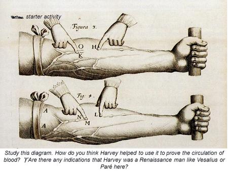  starter activity Study this diagram. How do you think Harvey helped to use it to prove the circulation of blood?  Are there any indications that Harvey.