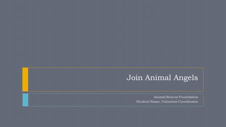 Join Animal Angels Animal Rescue Foundation Student Name, Volunteer Coordinator.