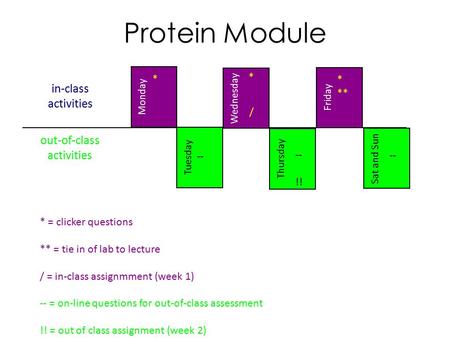 In-class activities Sat and Sun Tuesday Thursday Wednesday Friday Monday out-of-class activities Protein Module * ** * * -- !! -- / * = clicker questions.