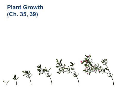 Plant Growth (Ch. 35, 39).