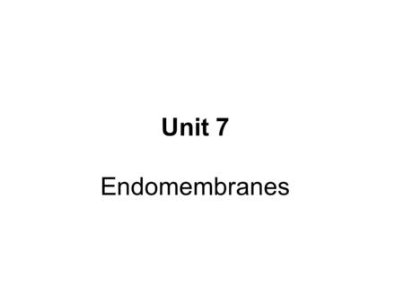 Unit 7 Endomembranes. SECRETORY PATHWAY: Unit 7 Secretory Pathway Proteins are synthesized on the Rough ER. Move via vesicles to Golgi Move via vesicles.