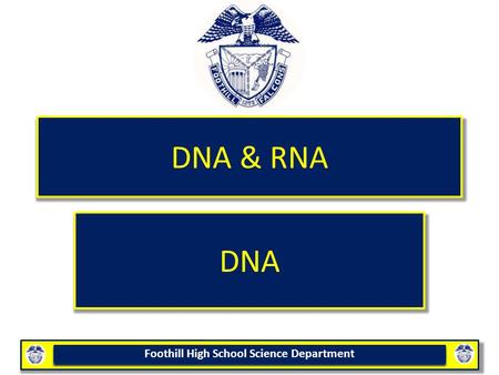DNA & RNA DNA.