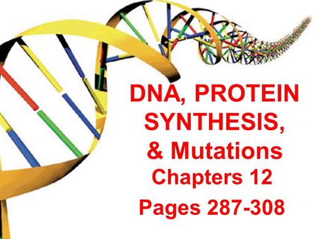 DNA, PROTEIN SYNTHESIS, & Mutations Chapters 12 Pages 287-308.