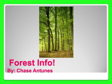 Forest Info! By: Chase Antunes Forest Info! By: Chase Antunes.