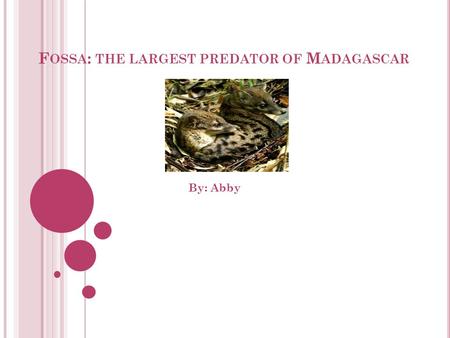 F OSSA : THE LARGEST PREDATOR OF M ADAGASCAR By: Abby.