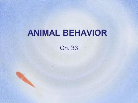 ANIMAL BEHAVIOR Ch. 33. Ethology The study of animal behavior.