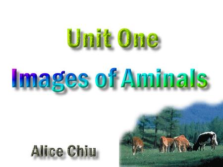 Activity One : Animal SimilesAnimal Similes Activity Two : Chinese Zodiac + Animal Idioms Chinese Zodiac + Animal Idioms Activity Three : Online Idiom.