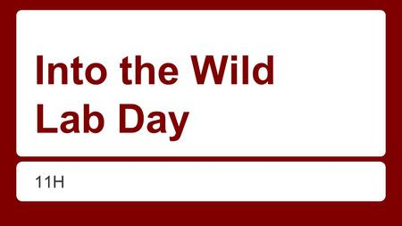Into the Wild Lab Day 11H. Swbat draft their introduction and outline essay DO NOW: Have out your introduction/thesis paragraph out for me to check.