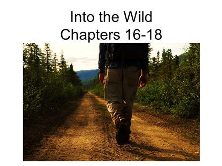 Into the Wild Chapters 16-18