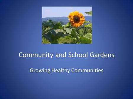 Community and School Gardens Growing Healthy Communities.