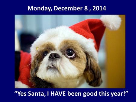 Monday, December 8, 2014 “Yes Santa, I HAVE been good this year!”