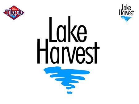 Lake Harvest Group History 92 – 94Pilot project 94 – 96Groundwork, permits, EIA, finance 97Lake Harvest established 97 – 992,000 tpa 99 Factory opens.