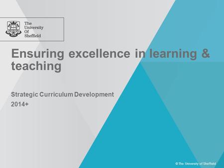 Ensuring excellence in learning & teaching © The University of Sheffield Strategic Curriculum Development 2014+