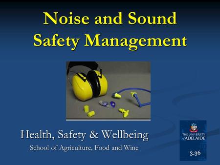 Noise and Sound Safety Management