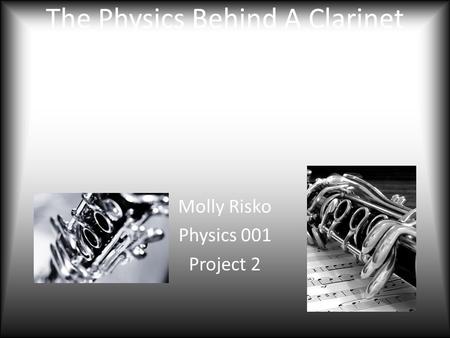 Molly Risko Physics 001 Project 2