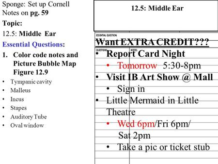 Little Mermaid in Little Theatre Wed 6pm/Fri 6pm/ Sat 2pm