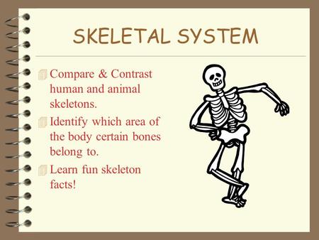 SKELETAL SYSTEM Compare & Contrast human and animal skeletons.