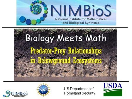 Biology Meets Math US Department of Homeland Security Predator-Prey Relationships in Belowground Ecosystems.