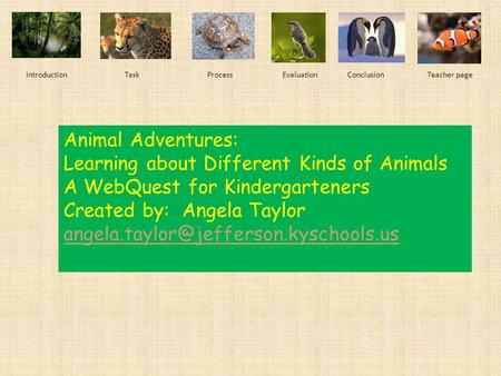 Learning about Different Kinds of Animals