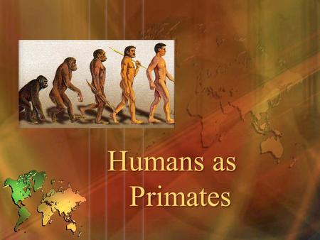 Humans as Primates.
