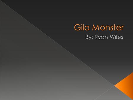 Gila Monster By: Ryan Wiles.