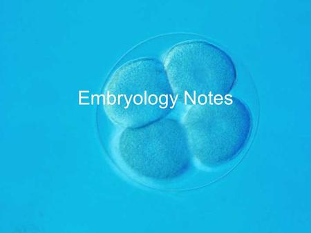 Embryology Notes.