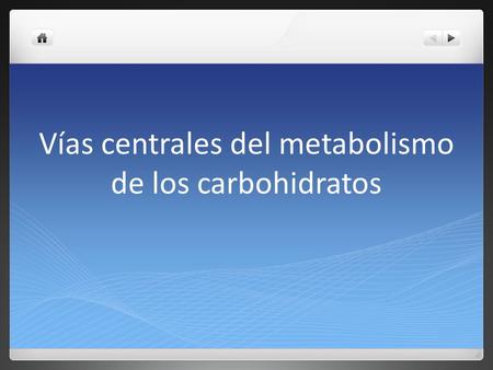 Vías centrales del metabolismo de los carbohidratos