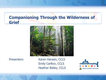 Companioning Through the Wilderness of Grief Presenters: Karen Hansen, CCLS Emily Carlton, CCLS Heather Bailey, CCLS.