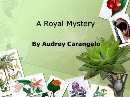 A Royal Mystery By Audrey Carangelo.