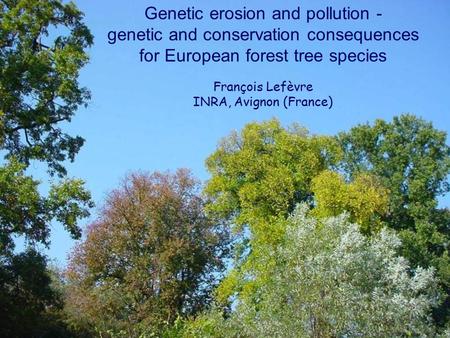 Genetic erosion and pollution - genetic and conservation consequences for European forest tree species François Lefèvre INRA, Avignon (France)