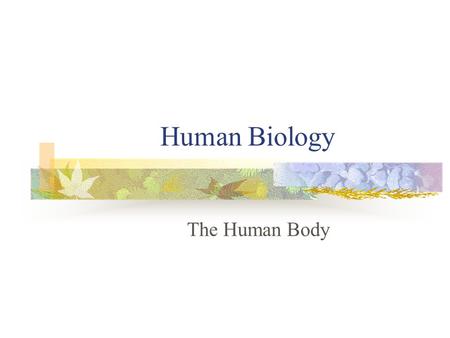 Human Biology The Human Body.