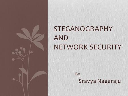 Steganography and Network Security