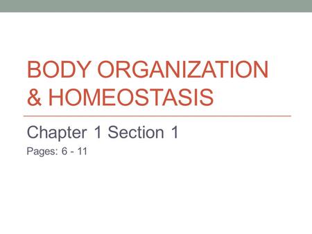BODY ORGANIZATION & HOMEOSTASIS Chapter 1 Section 1 Pages: 6 - 11.