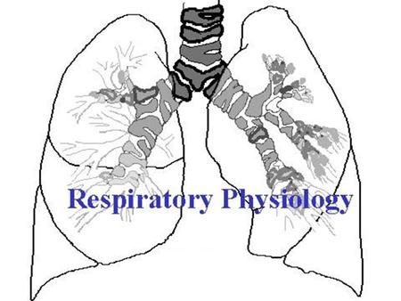1. 2 Part 1 Structure and Function of the Respiratory System When you can not breath, nothing else matters Slogan of the American Lung Association.