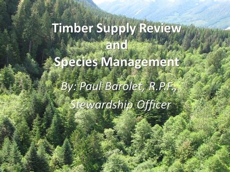 Timber Supply Review and Species Management By: Paul Barolet, R.P.F., Stewardship Officer Stewardship Officer.
