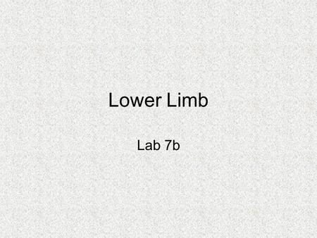 Lower Limb Lab 7b. Muscles Crossing Hip and Knee Joints Most anterior compartment muscles of the hip and thigh flex the femur at the hip and extend the.