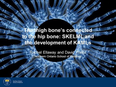 SkelML and KAMLs The thigh bone’s connected to the hip bone: SKELML and the development of KAMLs Rachel Ellaway and David Topps Northern Ontario School.