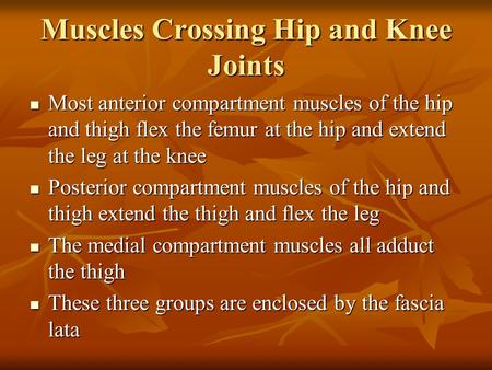 Muscles Crossing Hip and Knee Joints
