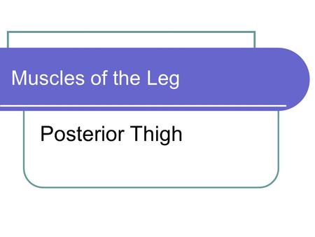 Muscles of the Leg Posterior Thigh.
